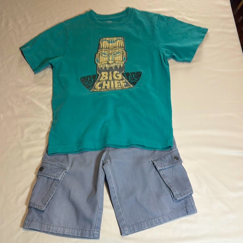 Boy’s Teal Graphic T-Shirt and Gray Cargo Shorts Set by Gymboree